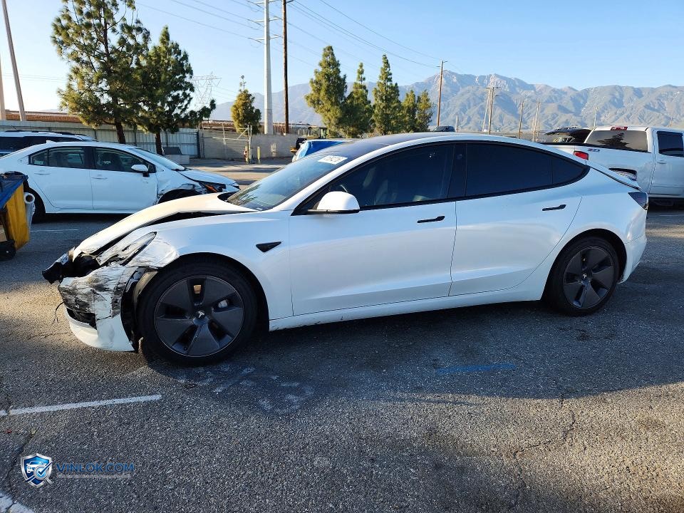 2021 TESLA MODEL 3 – Lot 41584216 auction photo