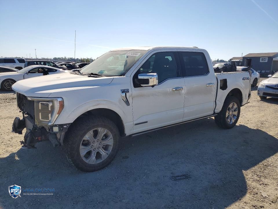 2021 FORD F150 SUPERCREW – Lot 41743656 auction photo