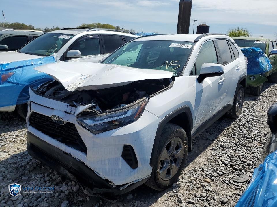 2024 TOYOTA RAV4 HYBRID XLE – Lot 41803596 auction photo