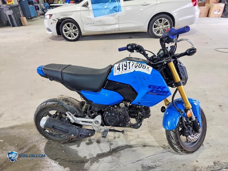 2025 HONDA GROM 125 – Lot 41917606 auction photo