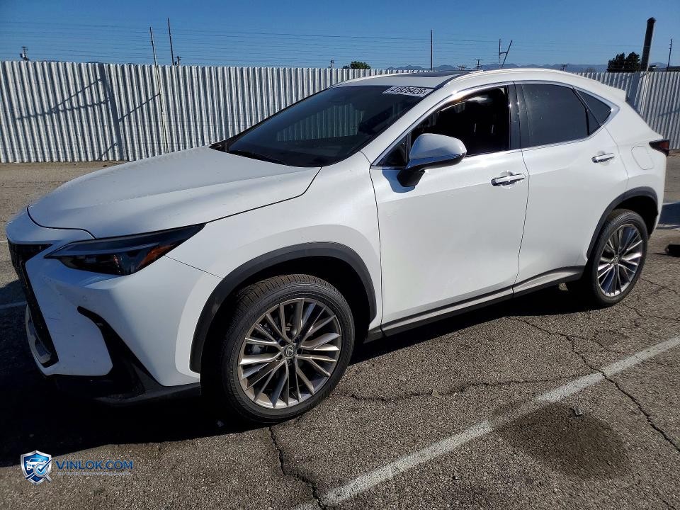 2026 LEXUS NX 350 PREMIUM – Lot 41926426 auction photo
