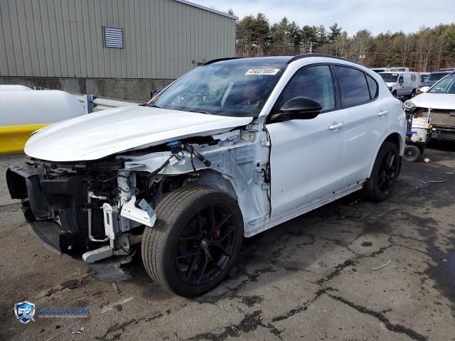 2021 ALFA ROMEO STELVIO TI – Lot 45037005 auction photo