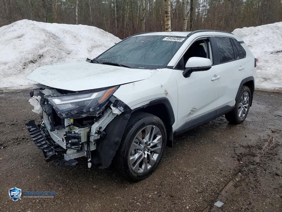 2025 TOYOTA RAV4 XLE – Lot 45494386 auction photo