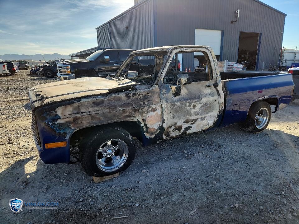 1981 CHEVROLET C10 – Lot 45737356 auction photo