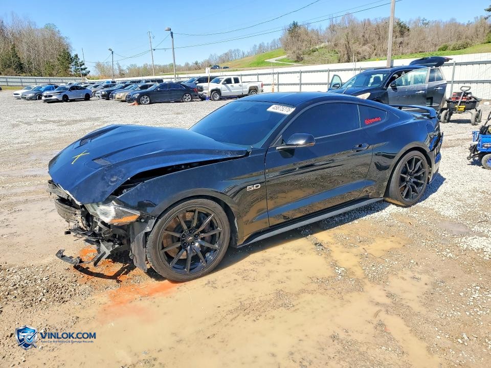 2019 FORD MUSTANG GT – Lot 45875276 auction photo