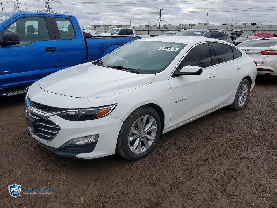 2023 CHEVROLET MALIBU LT – Lot 46007836 auction photo