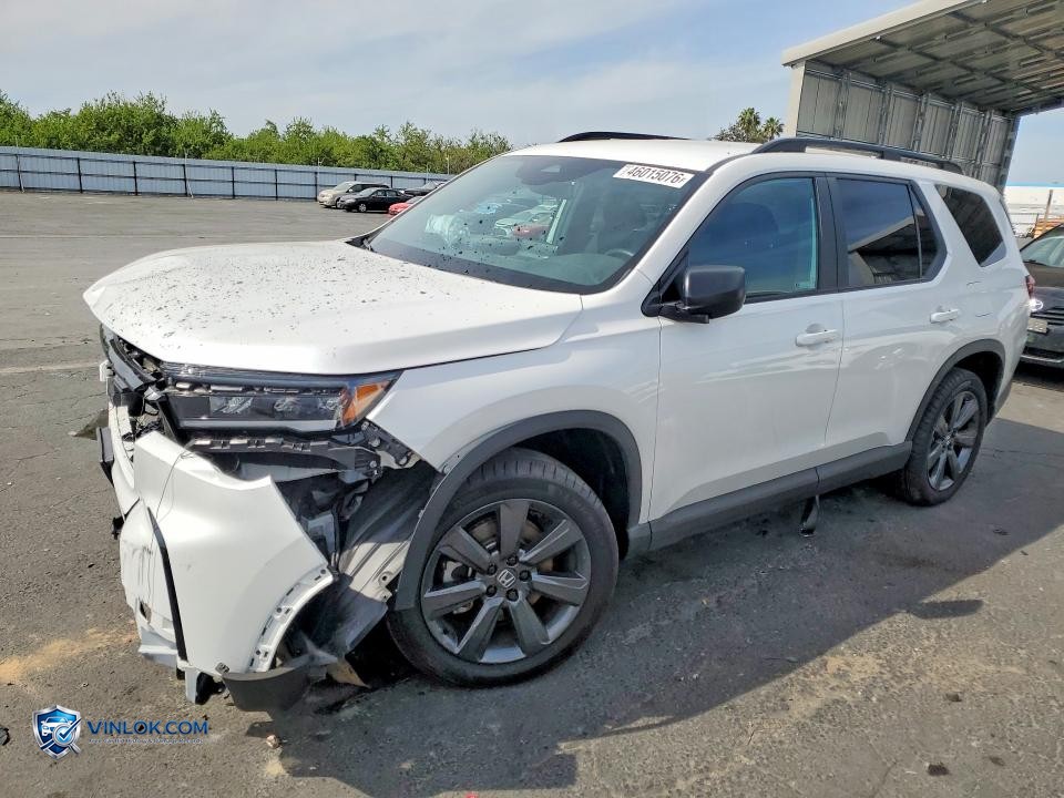 2024 HONDA PILOT SPORT – Lot 46015076 auction photo