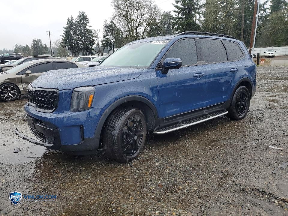 2025 KIA TELLURIDE EX X-LINE – Lot 46056376 auction photo
