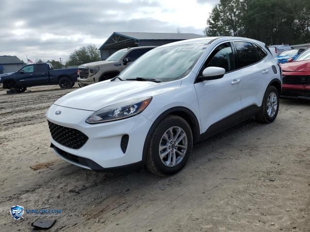 2021 FORD ESCAPE SE – Lot 46188695 auction photo