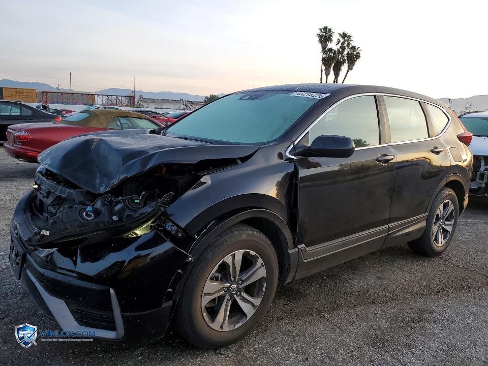 2021 HONDA CR-V LX – Lot 46216226 auction photo