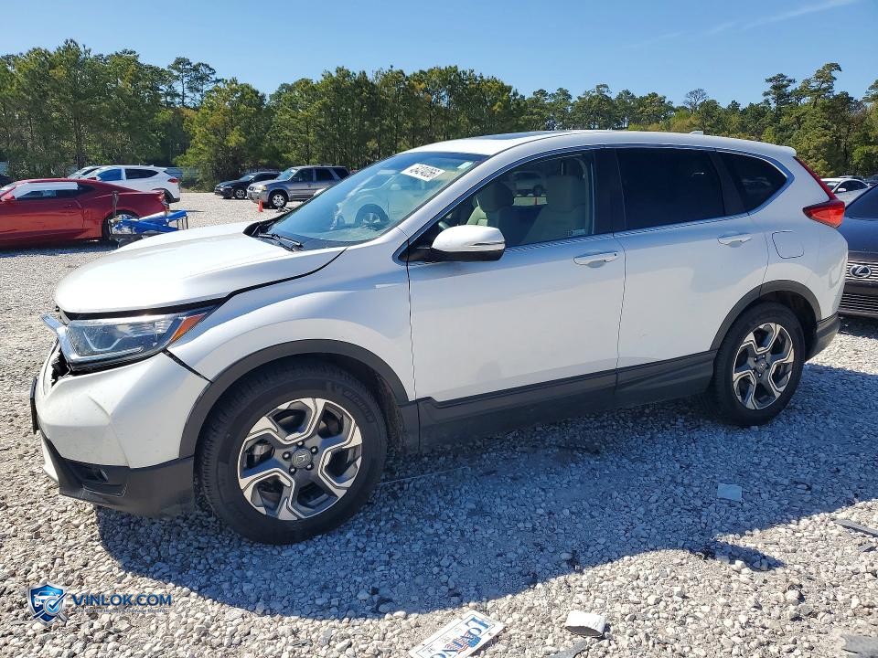 2019 HONDA CR-V EX – Lot 46424056 auction photo