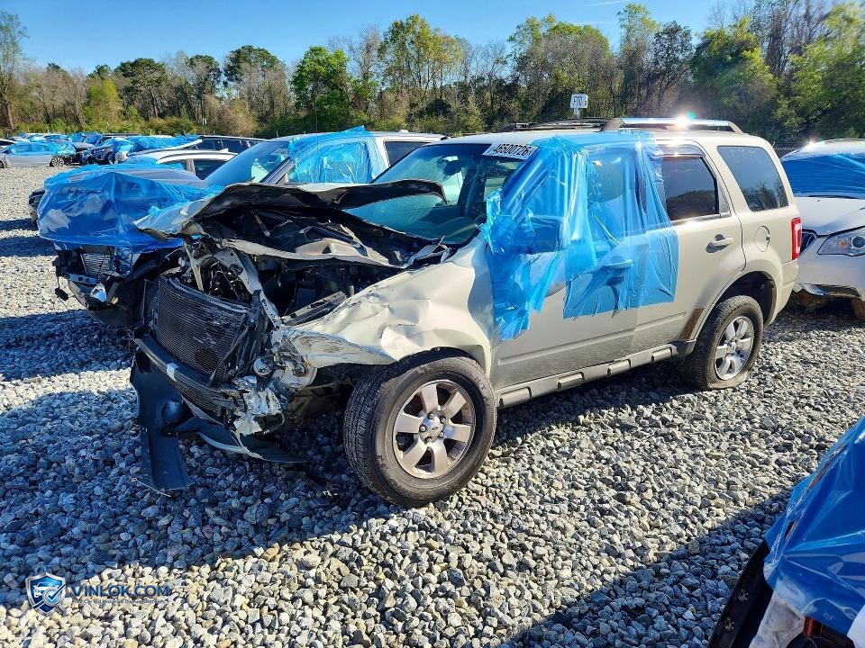 2009 FORD ESCAPE LIMITED – Lot 46500726 auction photo