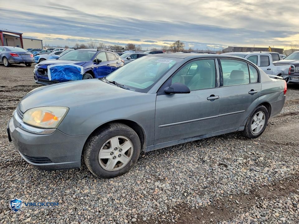 2005 CHEVROLET MALIBU LS – Lot 46508616 auction photo