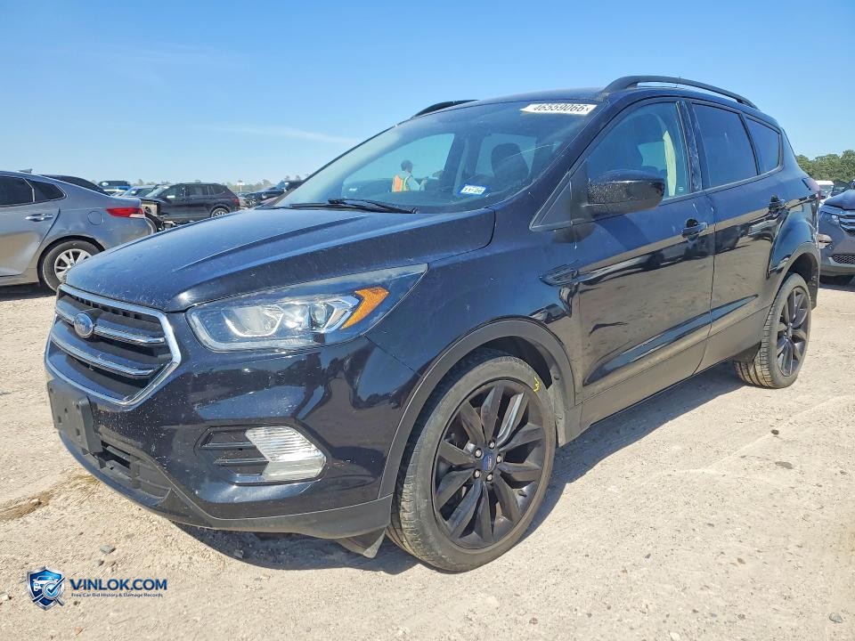 2019 FORD ESCAPE SE – Lot 46559066 auction photo