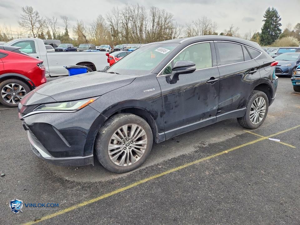 2021 TOYOTA VENZA XLE – Lot 46666046 auction photo