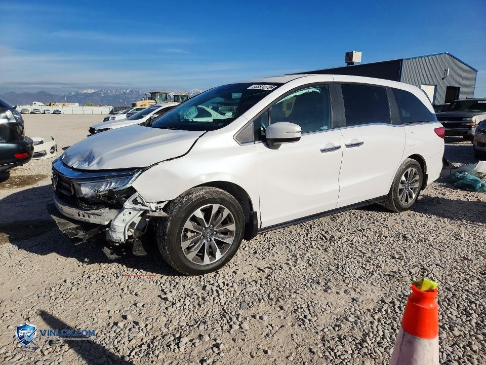 2023 HONDA ODYSSEY EXL – Lot 46833796 auction photo
