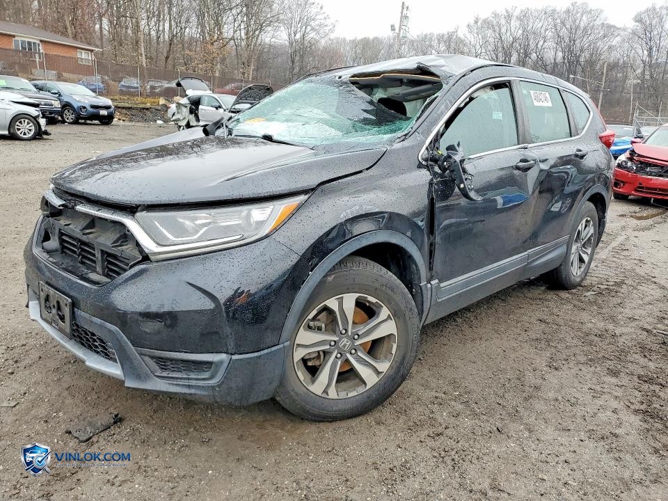 2019 HONDA CR-V LX – Lot 46842746 auction photo