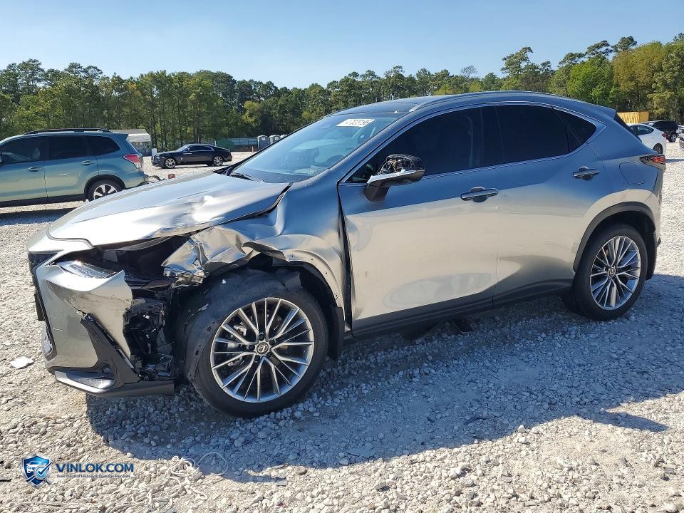 2026 LEXUS NX 350H LUXURY – Lot 47023196 auction photo