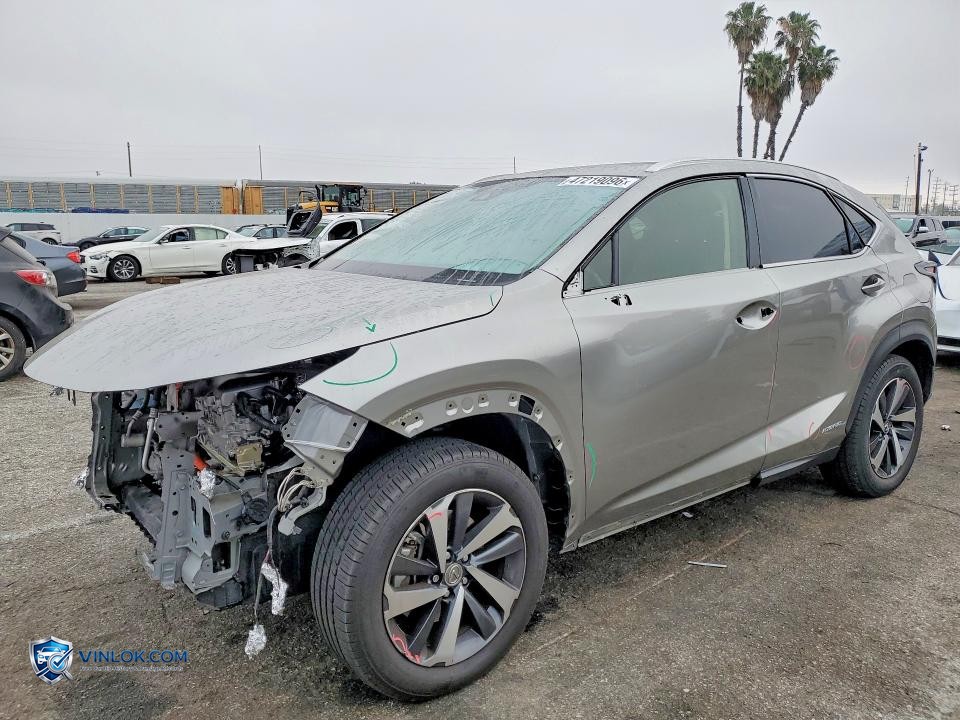 2020 LEXUS NX 300H BASE – Lot 47219096 auction photo