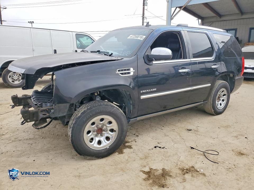 2010 CADILLAC ESCALADE PREMIUM – Lot 47250016 auction photo