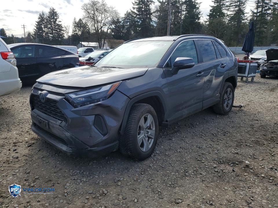 2024 TOYOTA RAV4 HYBRID LE – Lot 47419576 auction photo