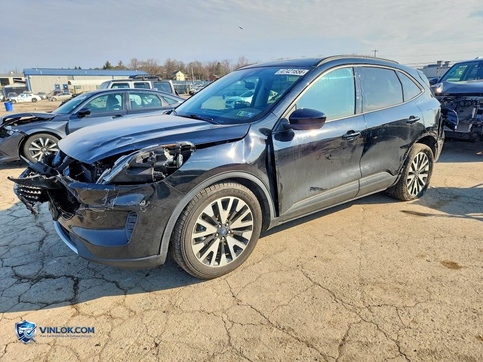 2020 FORD ESCAPE SE SPORT – Lot 47421656 auction photo