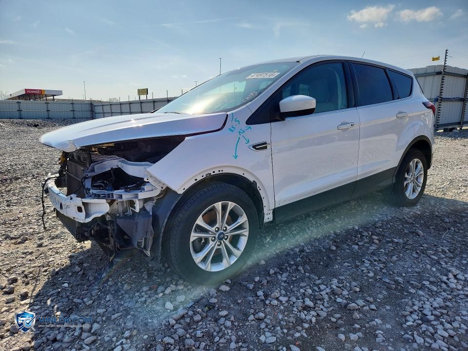 2019 FORD ESCAPE SE – Lot 47497516 auction photo
