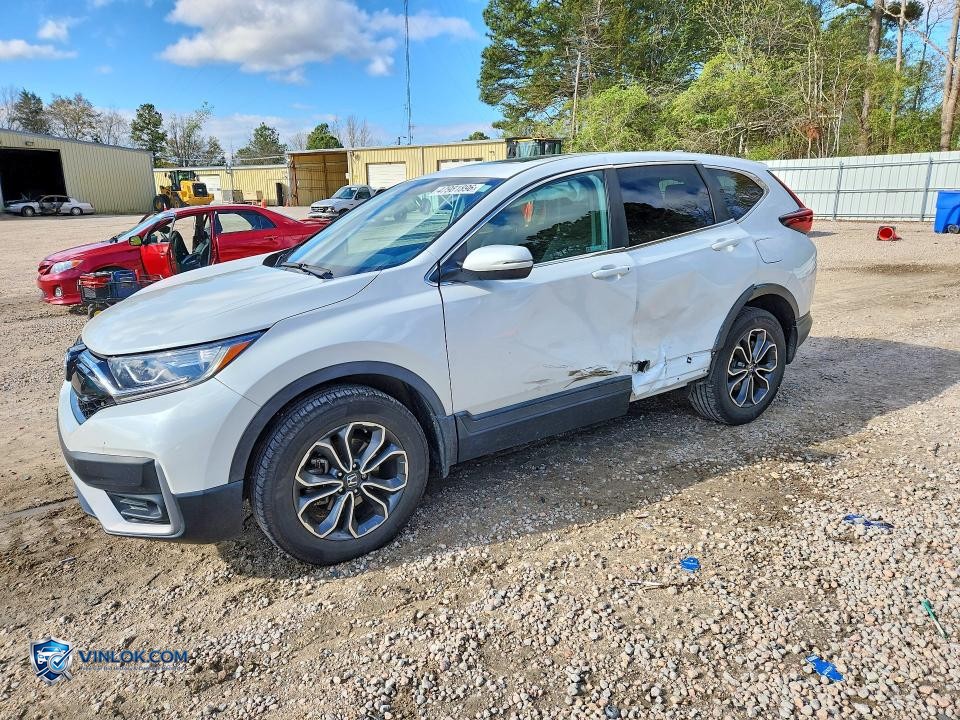 2022 HONDA CR-V EXL – Lot 47981896 auction photo