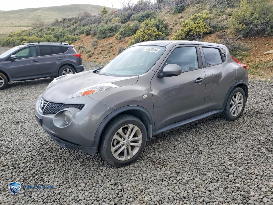 2012 NISSAN JUKE – Lot 48020816 auction photo