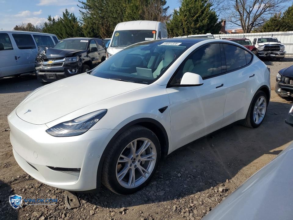 2021 TESLA MODEL Y – Lot 48051326 auction photo
