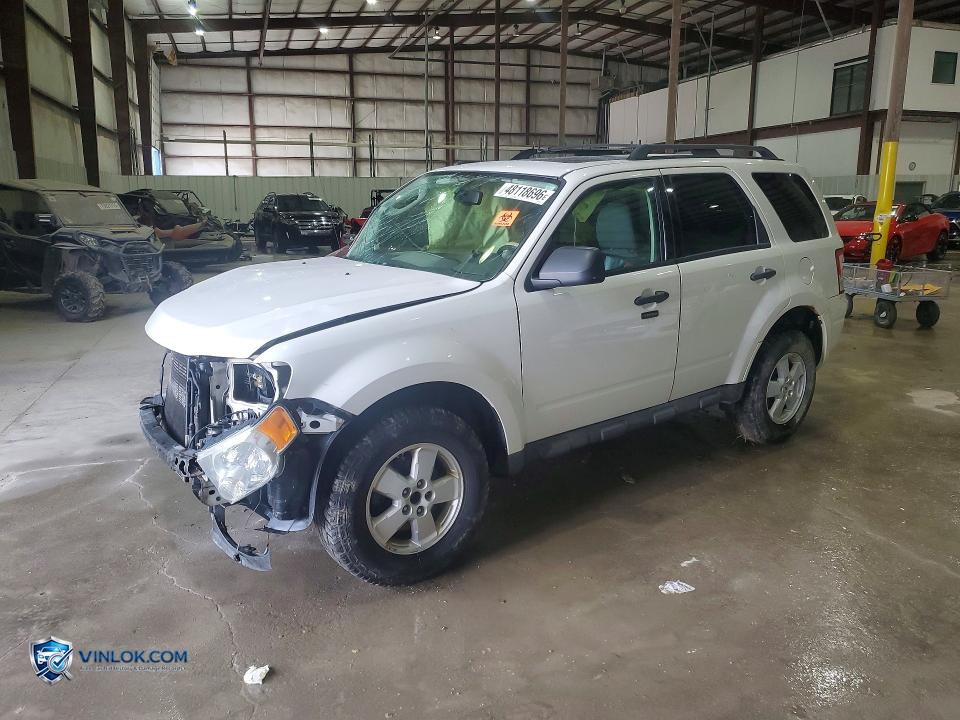 2009 FORD ESCAPE XLT – Lot 48118696 auction photo