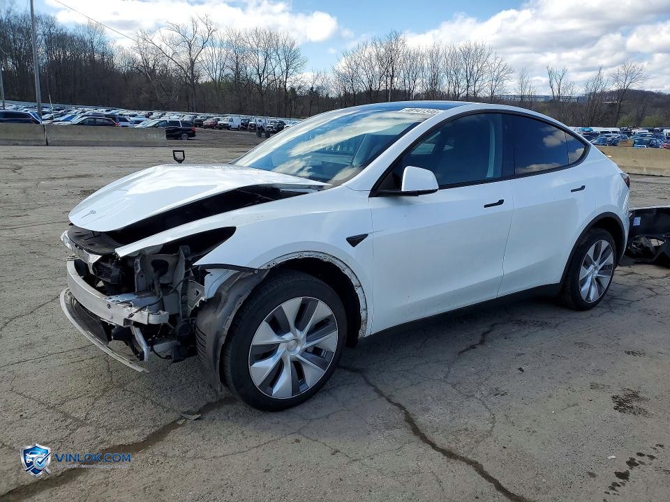 2023 TESLA MODEL Y – Lot 48141346 auction photo