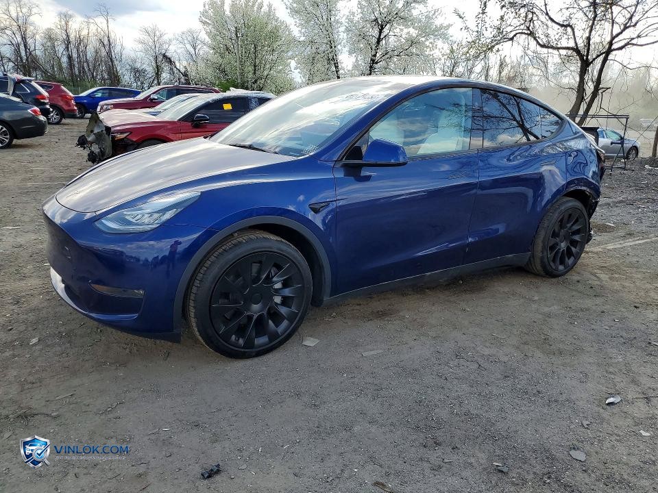 2023 TESLA MODEL Y – Lot 48224236 auction photo