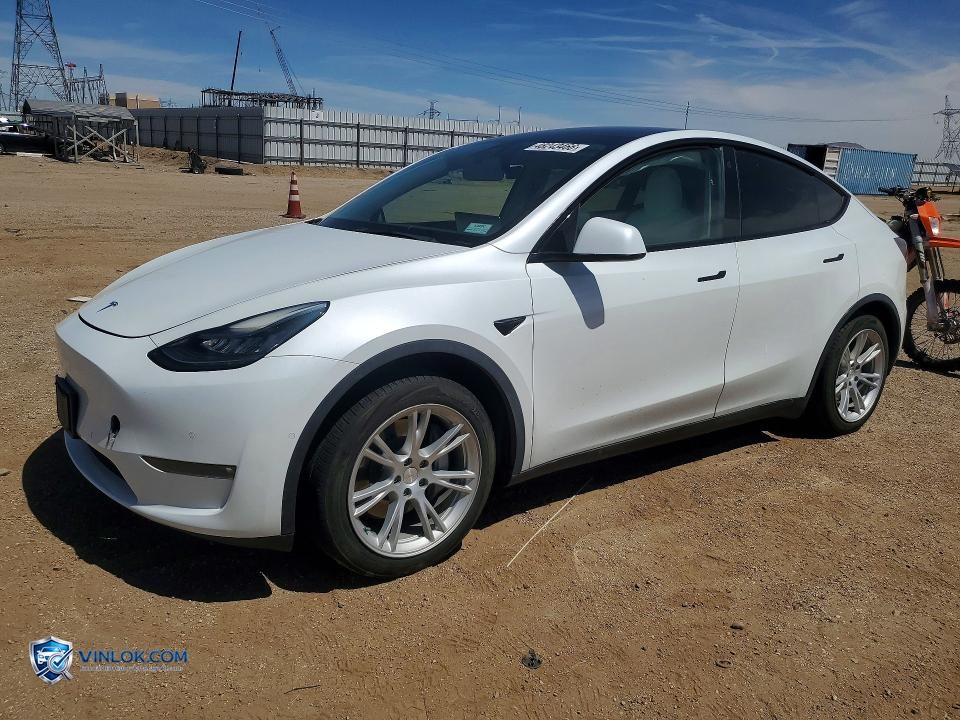 2021 TESLA MODEL Y – Lot 48243466 auction photo