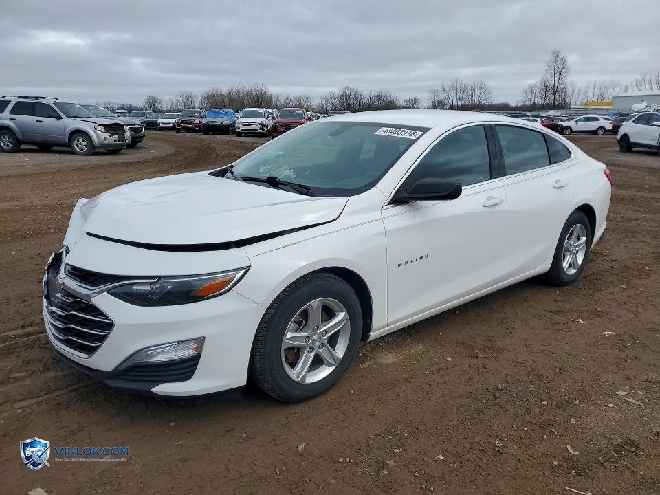 2020 CHEVROLET MALIBU LS – Lot 48403916 auction photo