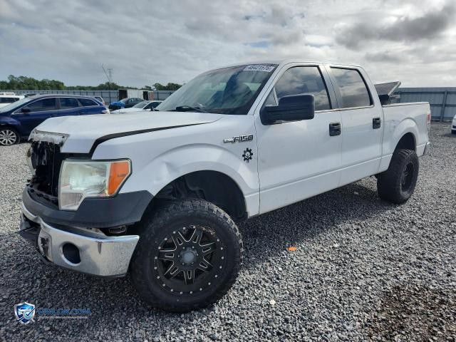 2014 FORD F150 SUPERCREW – Lot 48421576 auction photo