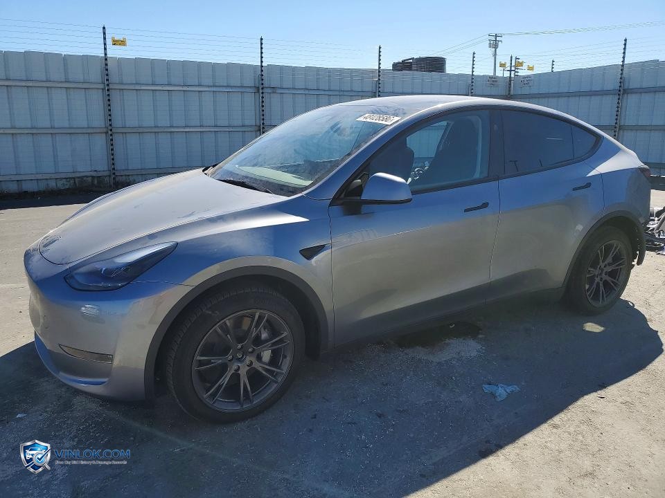 2025 TESLA MODEL Y – Lot 48428586 auction photo