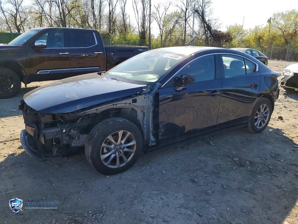    – Lot 48440066 auction photo