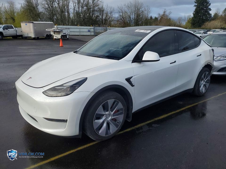 2022 TESLA MODEL Y – Lot 48511506 auction photo