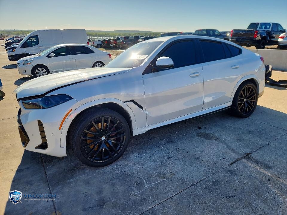 2025 BMW X6 XDRIVE40I – Lot 48530786 auction photo