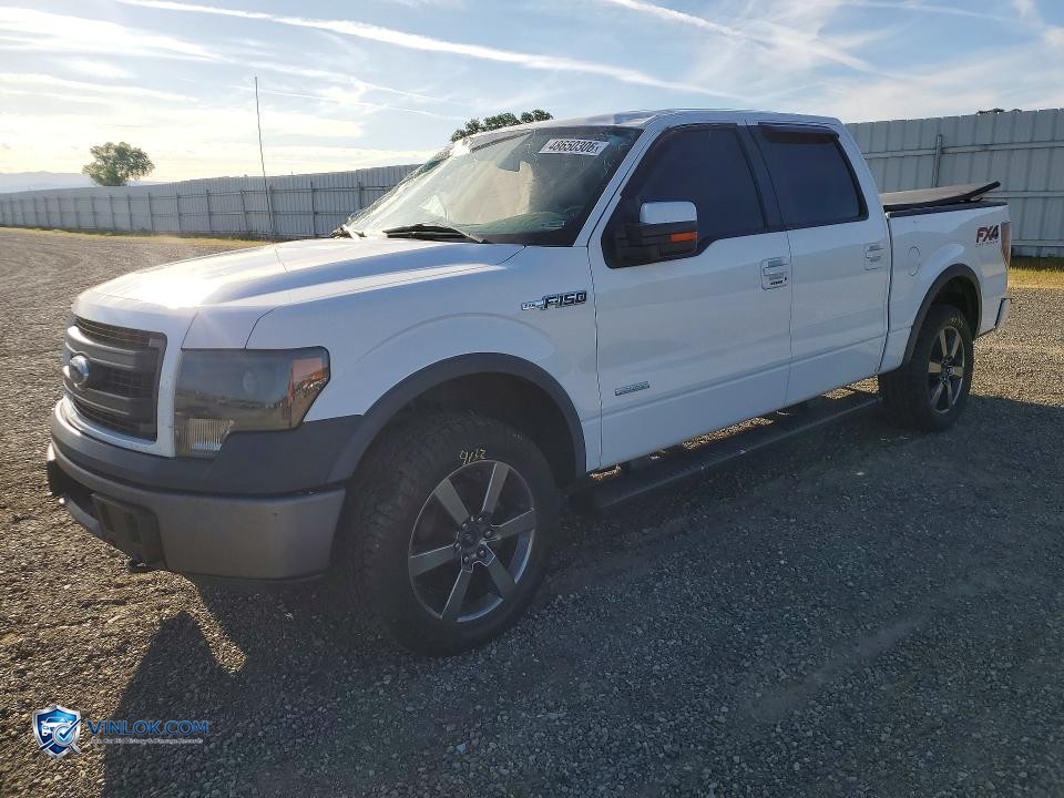 2014 FORD F150 SUPERCREW – Lot 48650306 auction photo