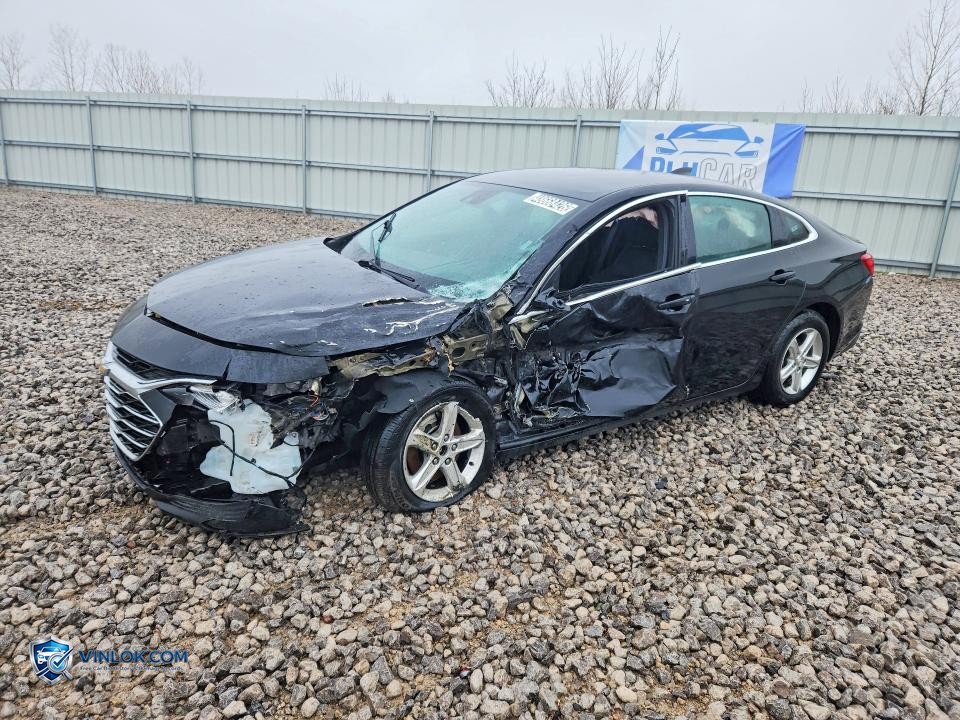 2023 CHEVROLET MALIBU LT – Lot 48668426 auction photo
