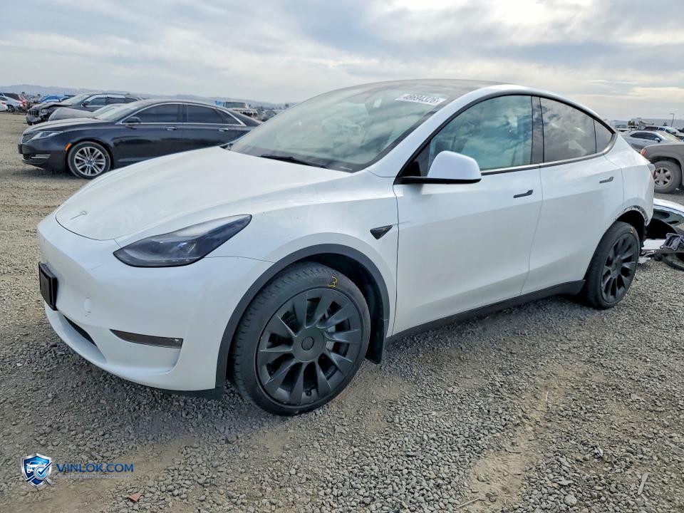 2023 TESLA MODEL Y – Lot 48694326 auction photo