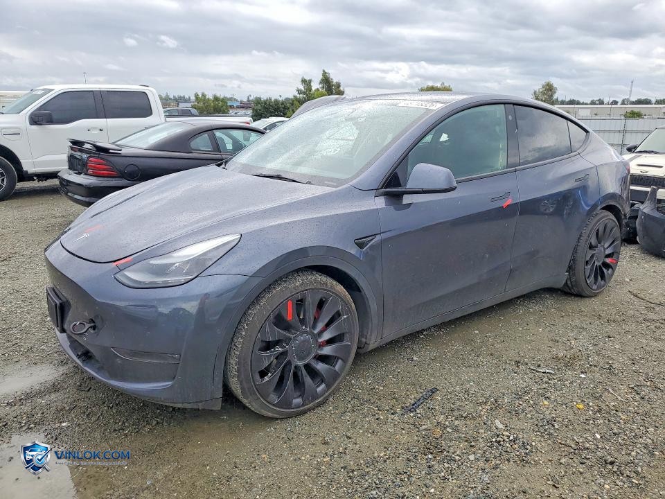 2022 TESLA MODEL Y – Lot 48718326 auction photo