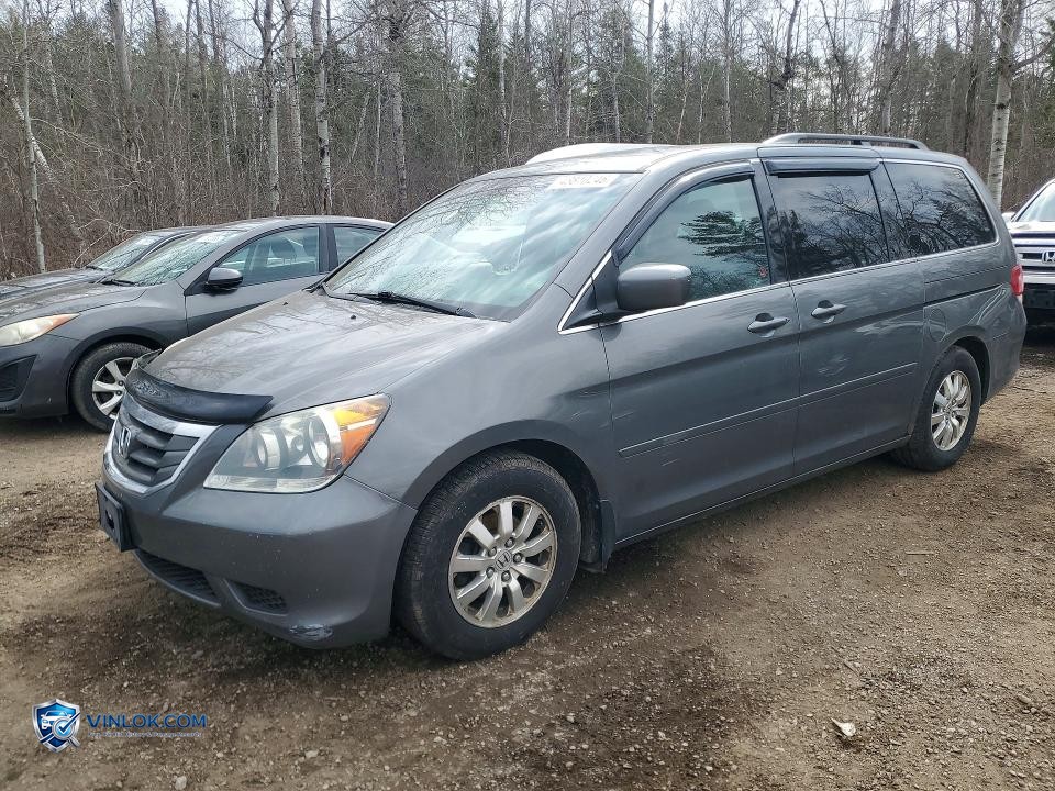 2008 HONDA ODYSSEY EXL – Lot 48810246 auction photo