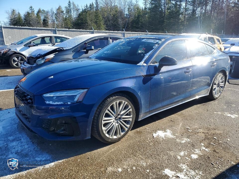 2025 AUDI S5 PRESTIGE – Lot 48817716 auction photo