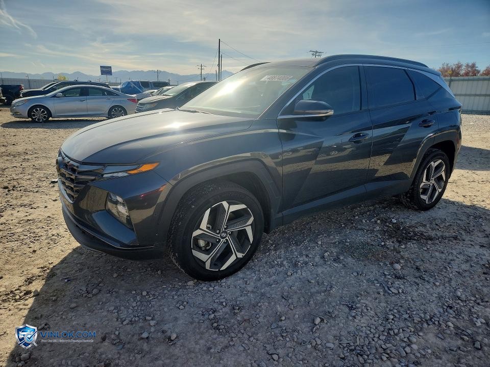 2023 HYUNDAI TUCSON – Lot 48874006 auction photo