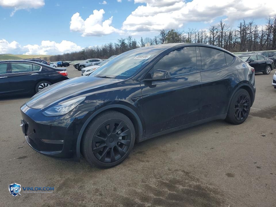 2021 TESLA MODEL Y – Lot 48905486 auction photo