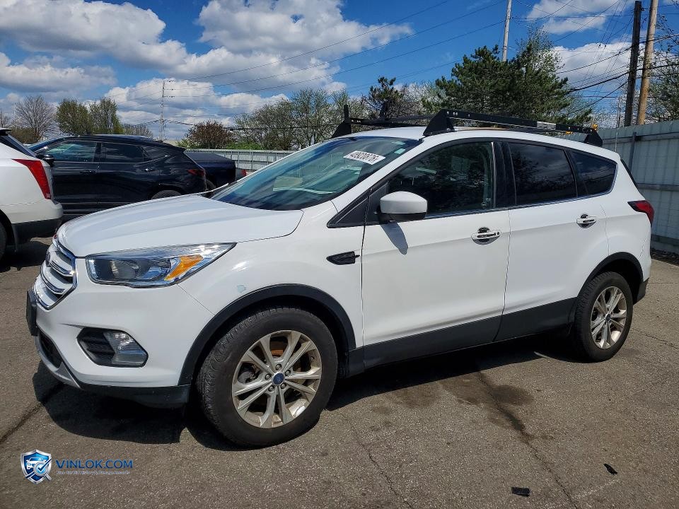2019 FORD ESCAPE SE – Lot 48920876 auction photo