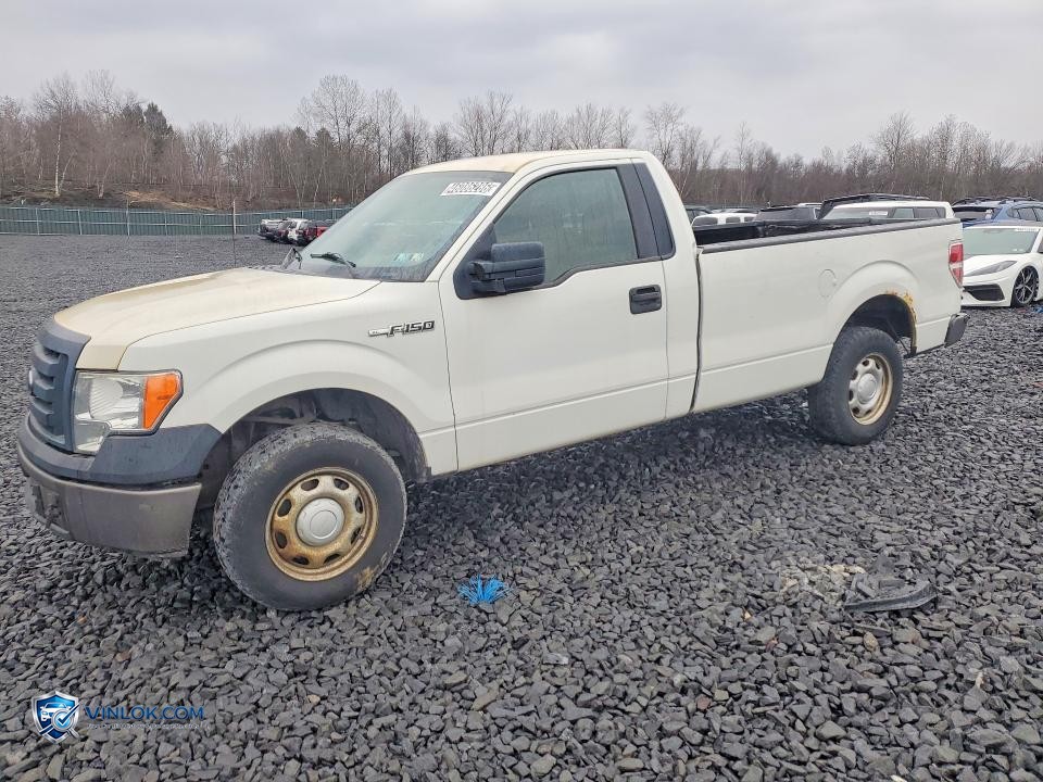 2011 FORD F150 – Lot 48961776 auction photo